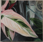 Plant Study in Oil (Stromanthe Triostar) by Mary Kate Dilamarter