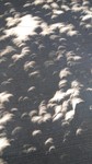 Solar Eclipse Image (Sue Ferrell #2)