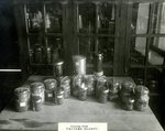 Canned Foods in Mason Jars by WKU Archives