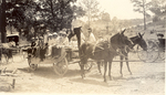 Mule Wagon