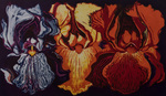 Iris by Lowell Nesbit (b.1933-1993), artist and Kentucky Museum