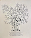 Moulder Family Tree by George Moulder