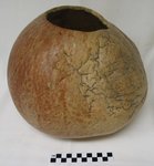 Gourd Basket by WKU Kentucky Museum