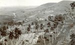 Yumiri Valley, Cuba (MSS 31 B3 F8 #9b) by Manuscripts & Folklife Archives